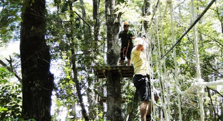 Imagen Arborismo en Pucón