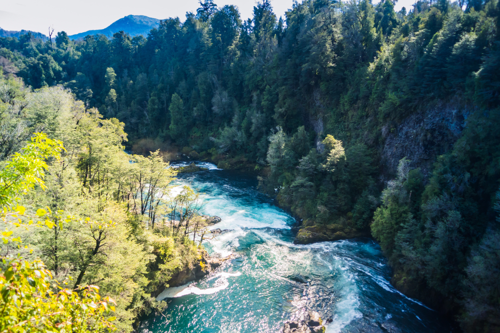 Río en Huilo Huilo Chile