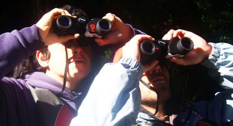 Personas observando aves en Pucón.