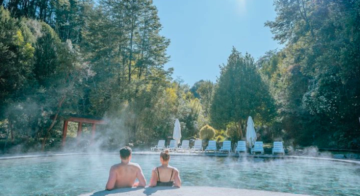 Tour por la Zona y Termas de Huife