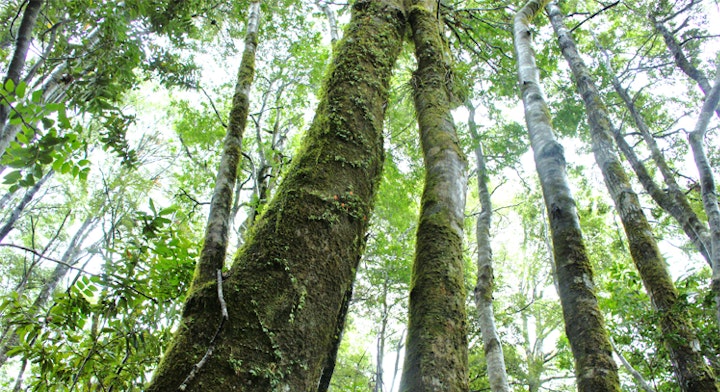 Plan Perfecto 3 días