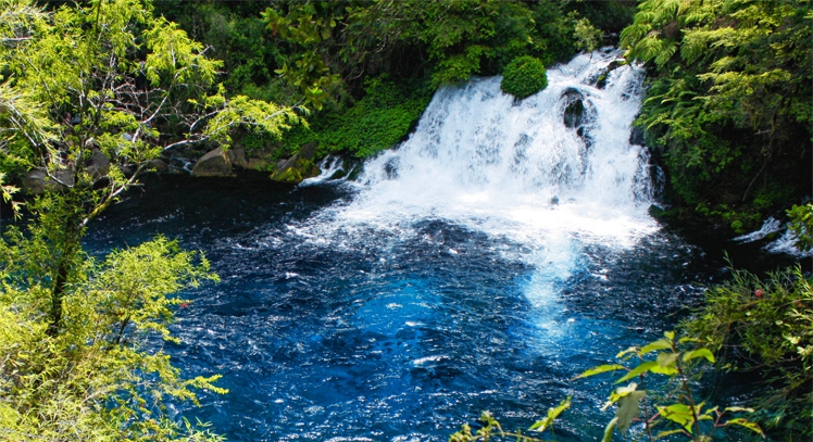 Reserva Biológica Huilo Huilo