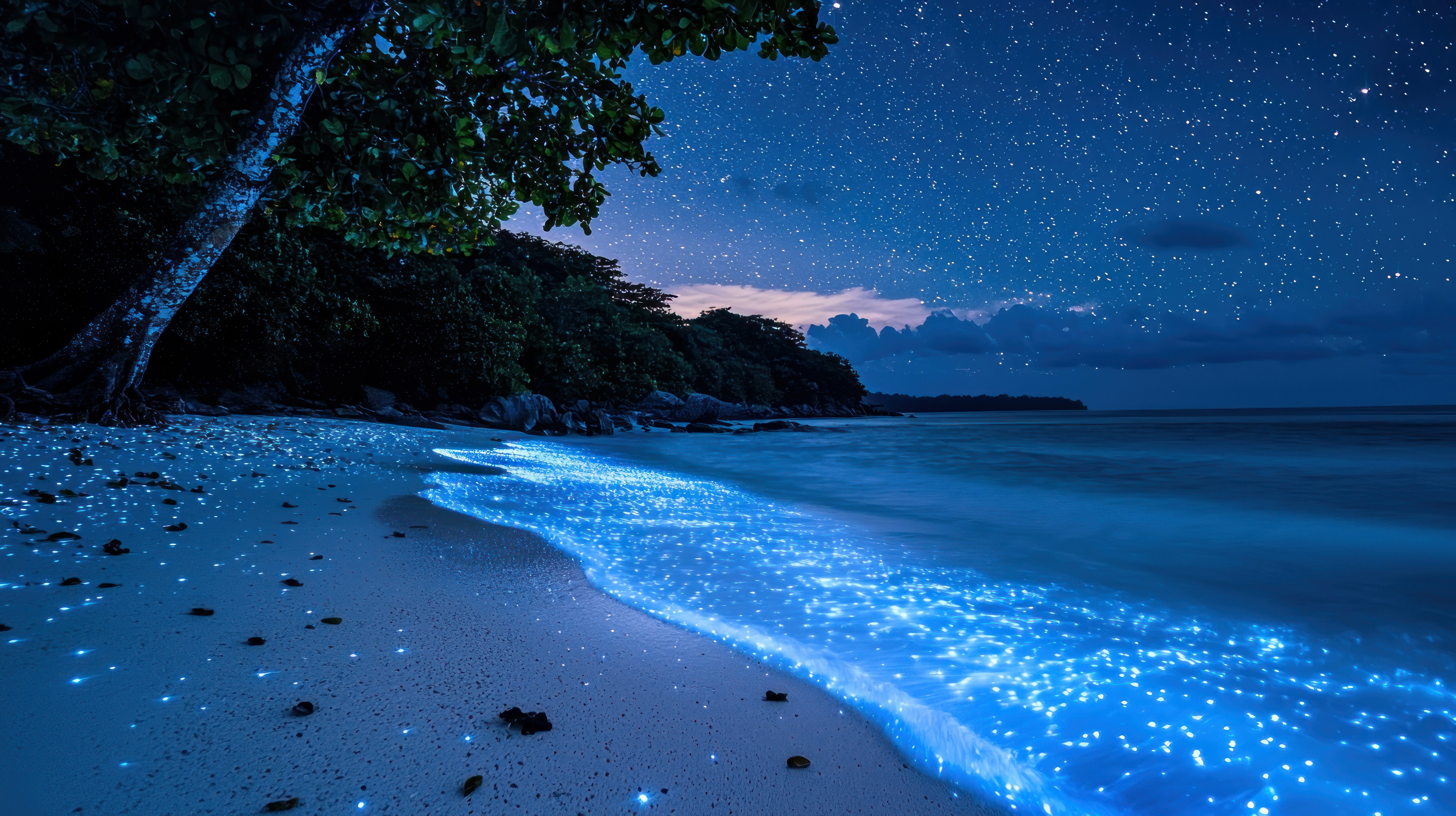 Bioluminiscencia en playa de Puerto Escondido