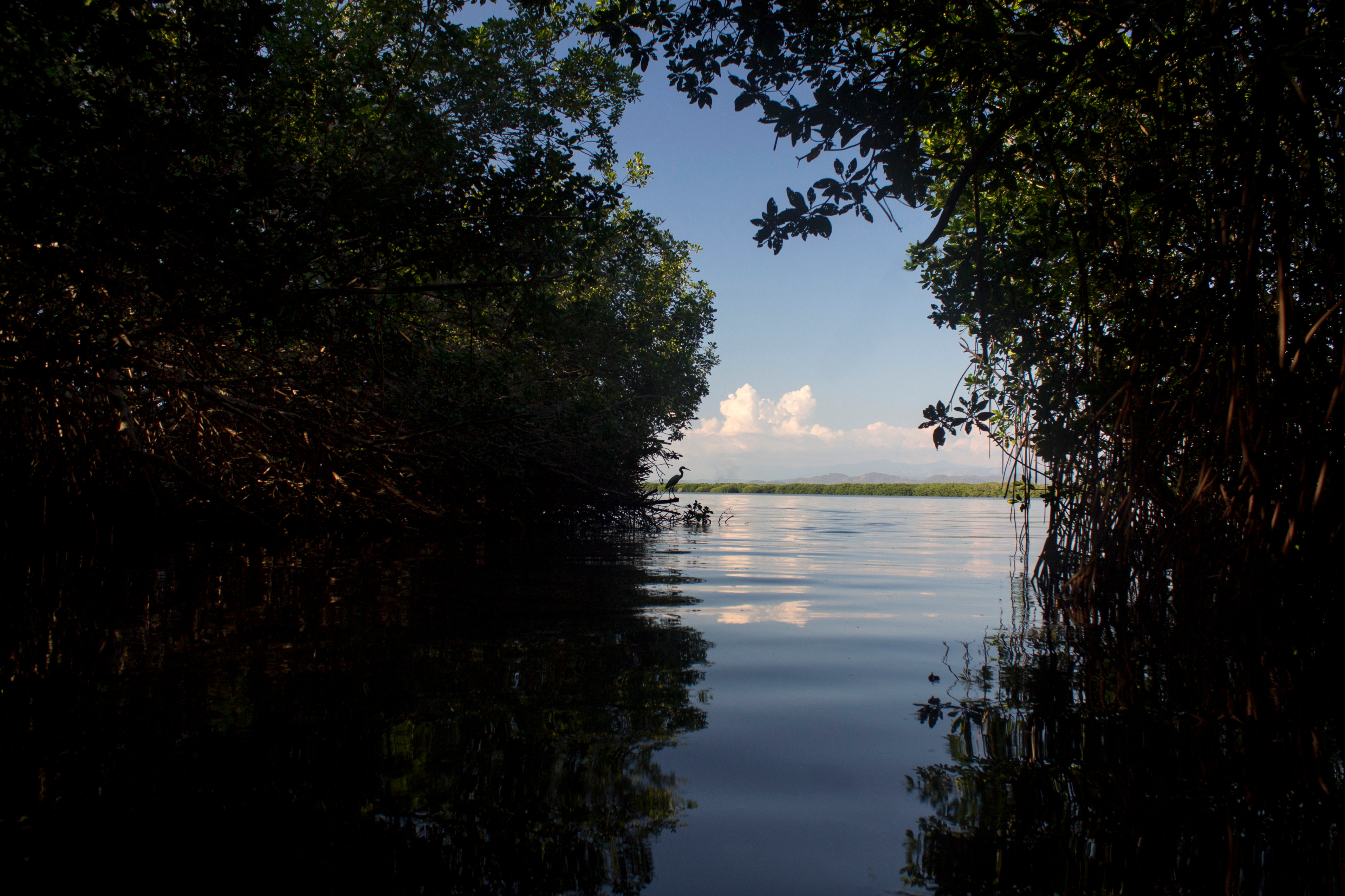 Lagunas del Chacahua