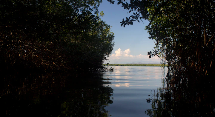 Lagunas del Chacahua