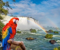 Cataratas de Iguazú Brasil y Parque de Aves