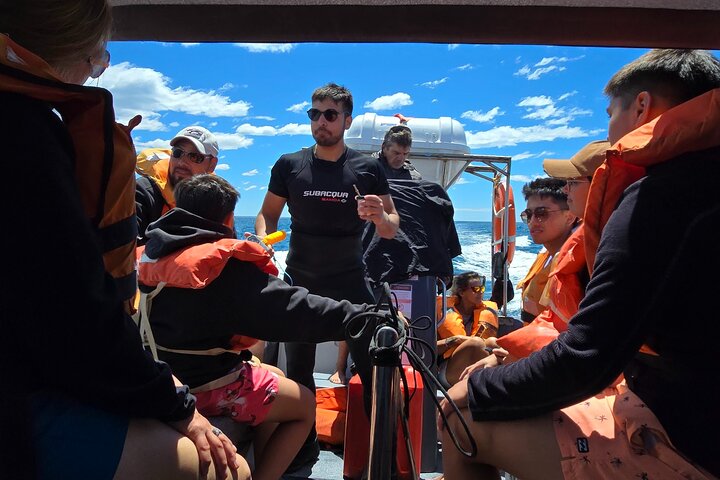 Avistamiento de Delfines