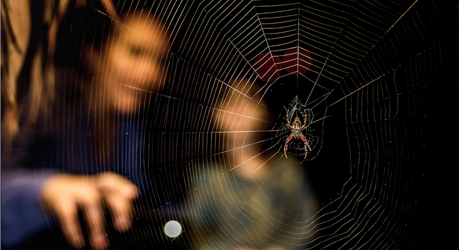 Posada Amazonas (3 días) Telaraña