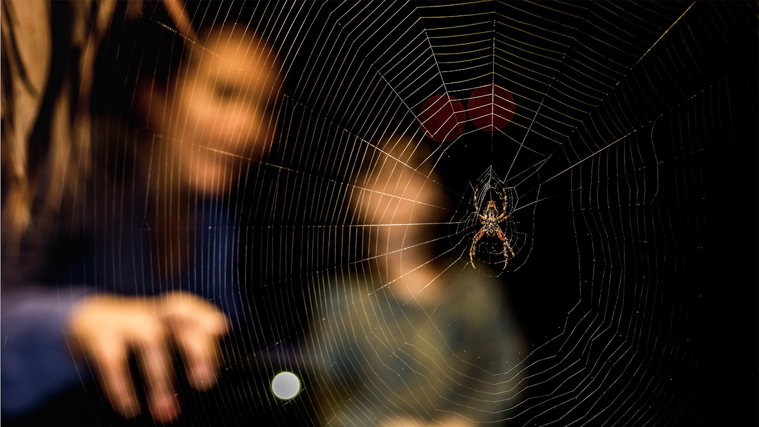Telaraña con turistas de fondo en la selva nocturna