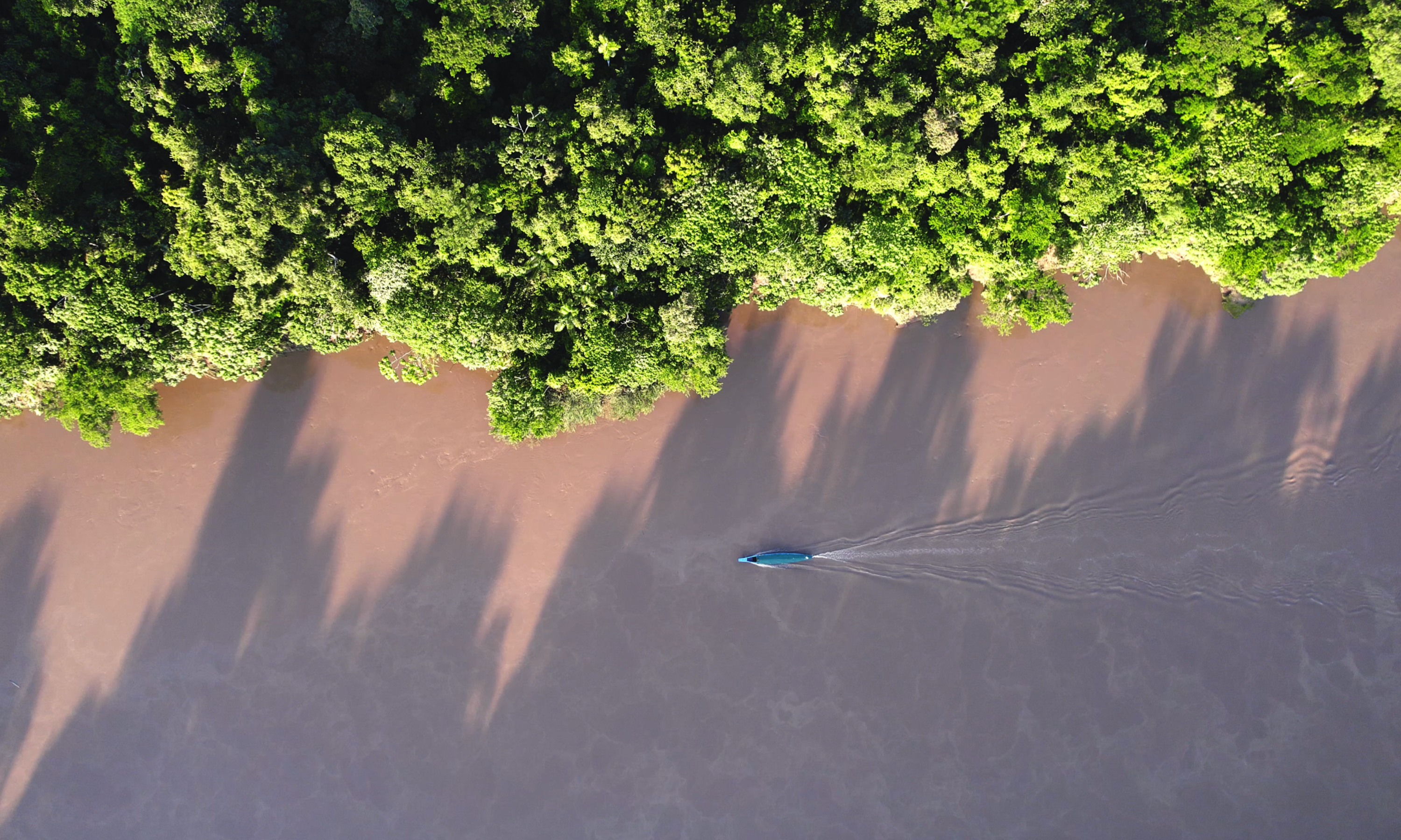 Vista cenital de un bote navegando por el río Tambopata junto a la orilla cubierta de selva