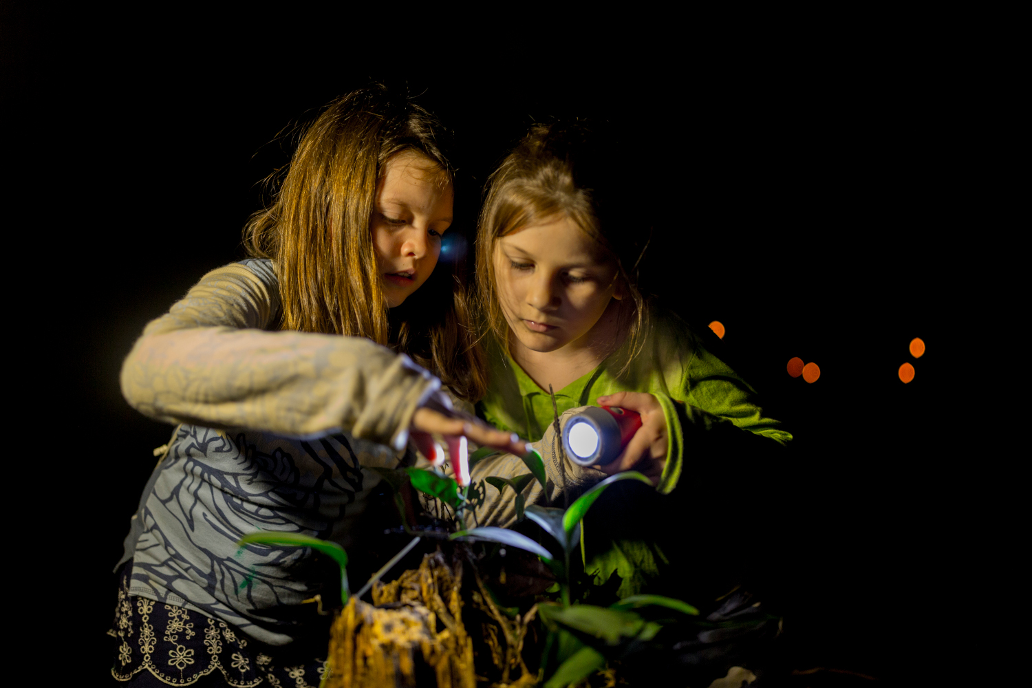 Tour nocturno en la selva