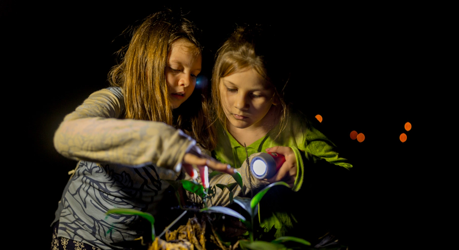 Refugio Amazonas (4 días) en Puerto Maldonado Tour nocturno en la selva