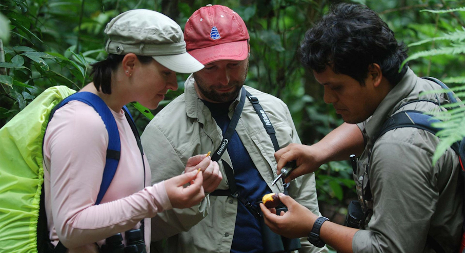 Tour por la selva amazónica Tour por la selva amazónica