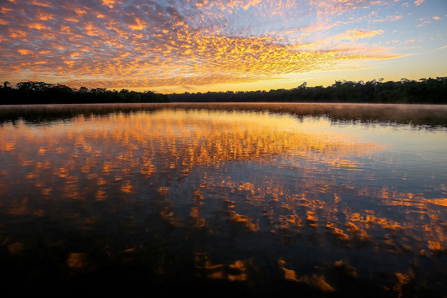 Lago Sandoval (2 días) actividad