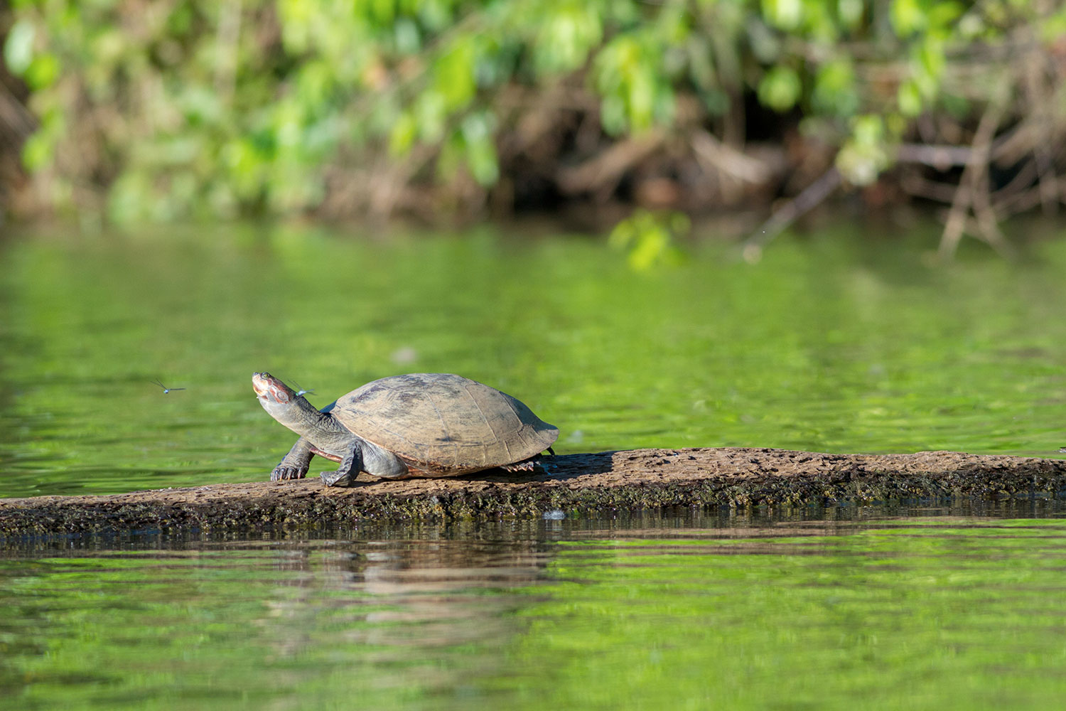Lago Sandoval (3 días) vacaciones