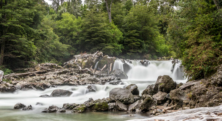 Imagen Tour a Puyehue en Puerto Montt