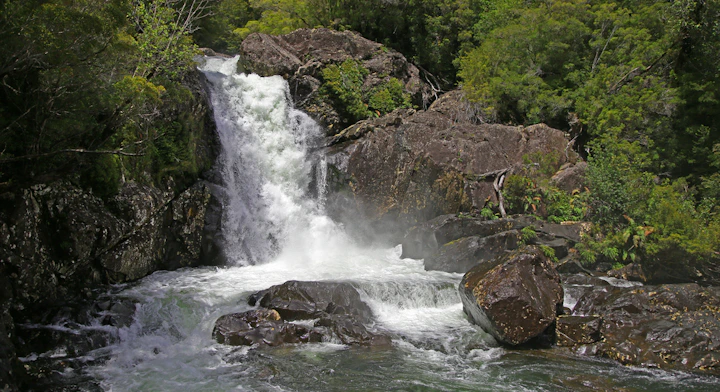 Imagen Parque Nacional Alerce Andino en Puerto Montt