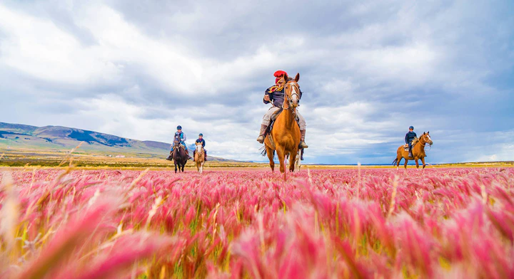Imagen Cabalgata Cerro Guido Half Day en Puerto Natales & Torres del Paine
