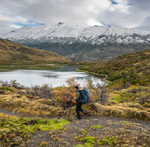 Persona Paisaje Dickson Persona Paisaje Dickson