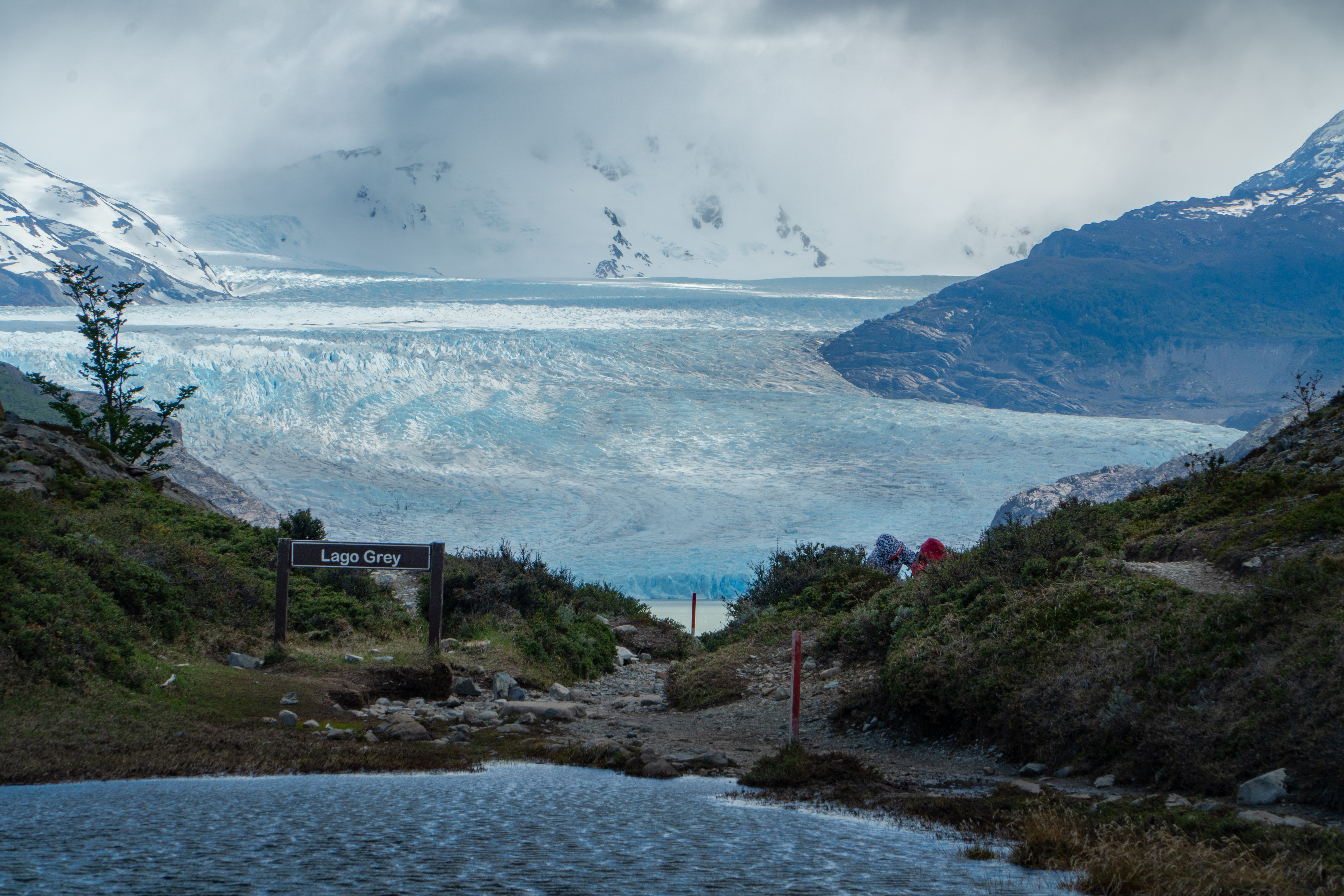 Glaciar Grey
