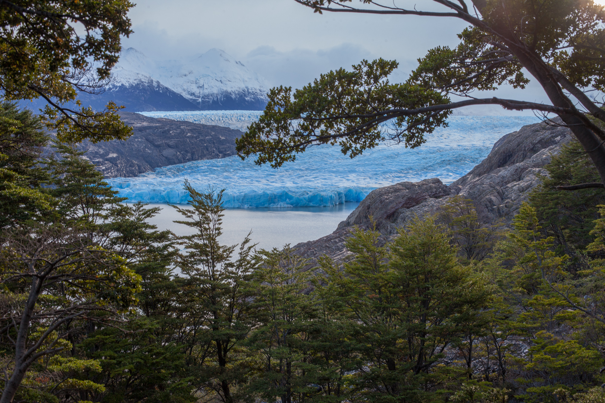 Glaciar Grey