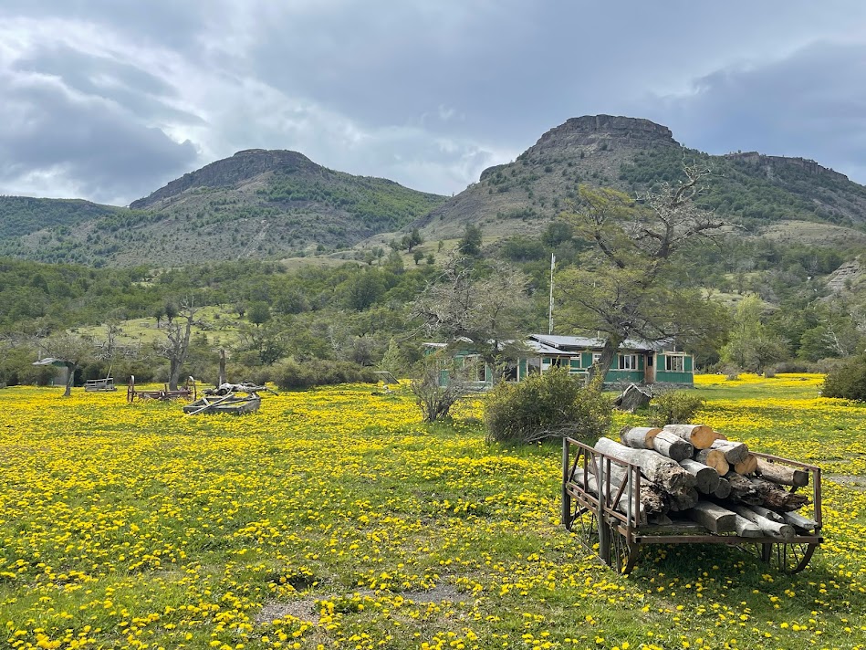 Carreta con troncos en paisaje patagónico