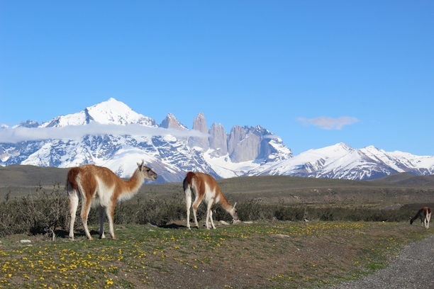 Torres Del Paine Full Day From Puerto Natales