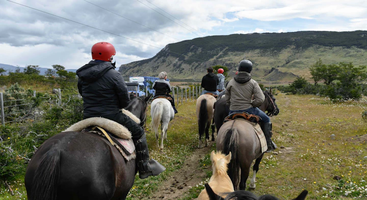 Caballos en el cerro Dorotea en la Patagonia