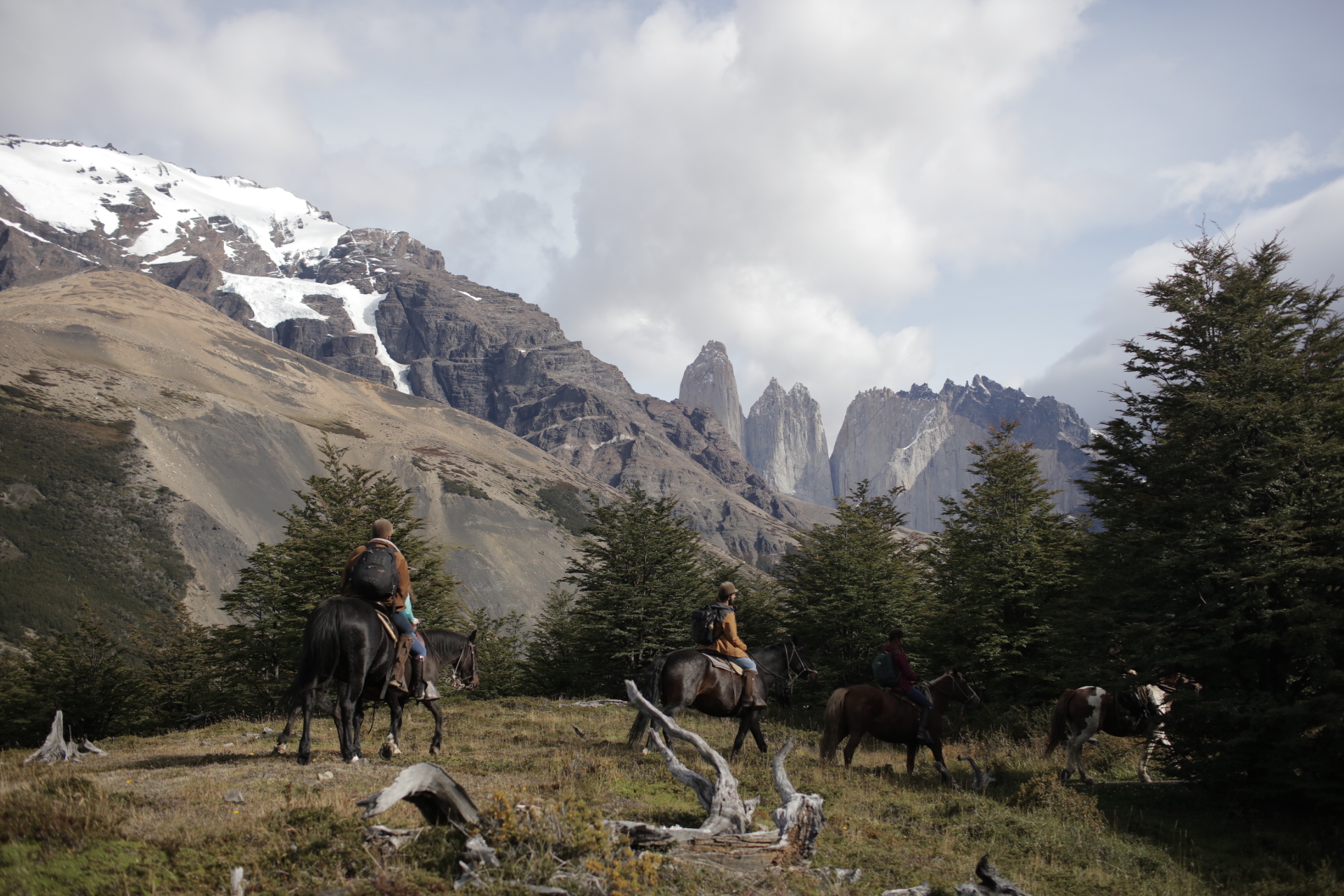 Cerro Paine en Puerto Natales