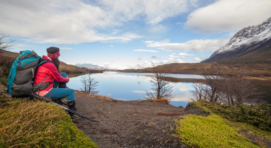 Circuito W Invernal (6 días) en Puerto Natales & Torres del Paine Bosque de Lengas