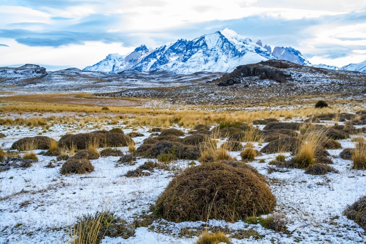Paisaje patagónico de invierno