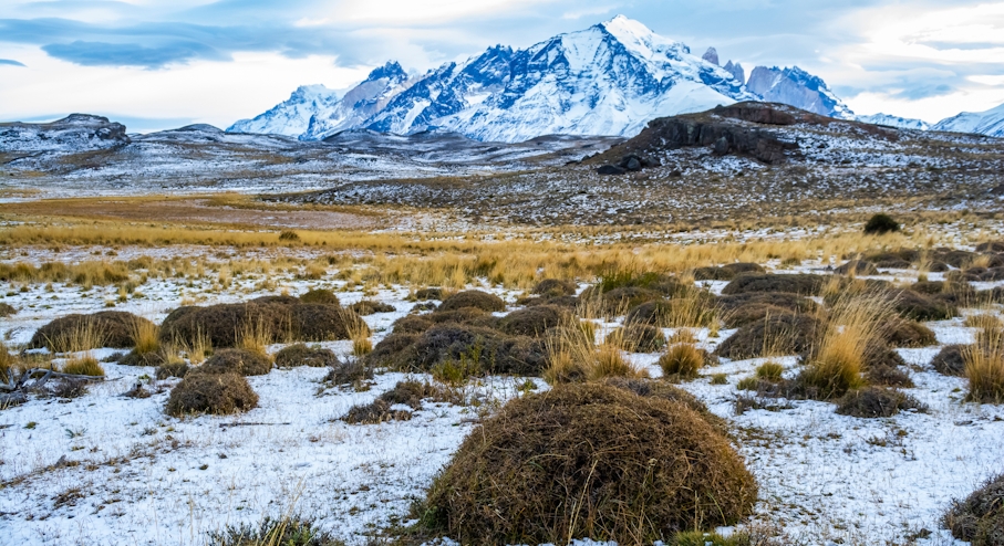 Paisaje patagónico de invierno