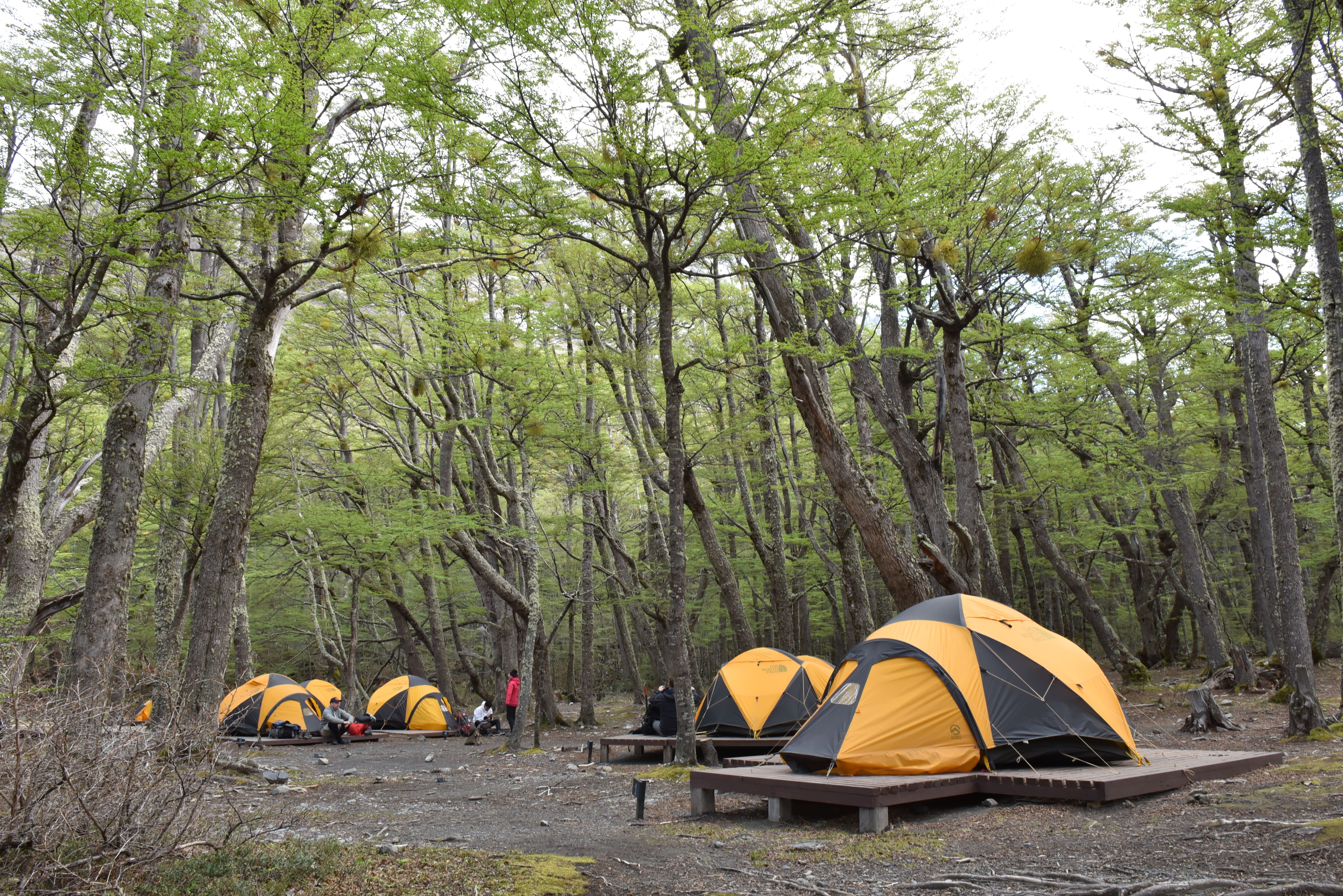 Carpas armadas en sector Perros en Circuito O de Torres del Paine