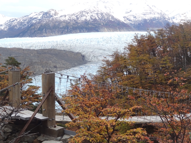 Puentes colgantes y Glaciar Grey