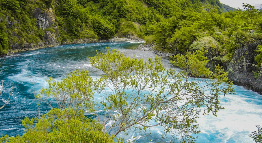Bosque nativo rodeando las aguas turquesas del río Petrohue