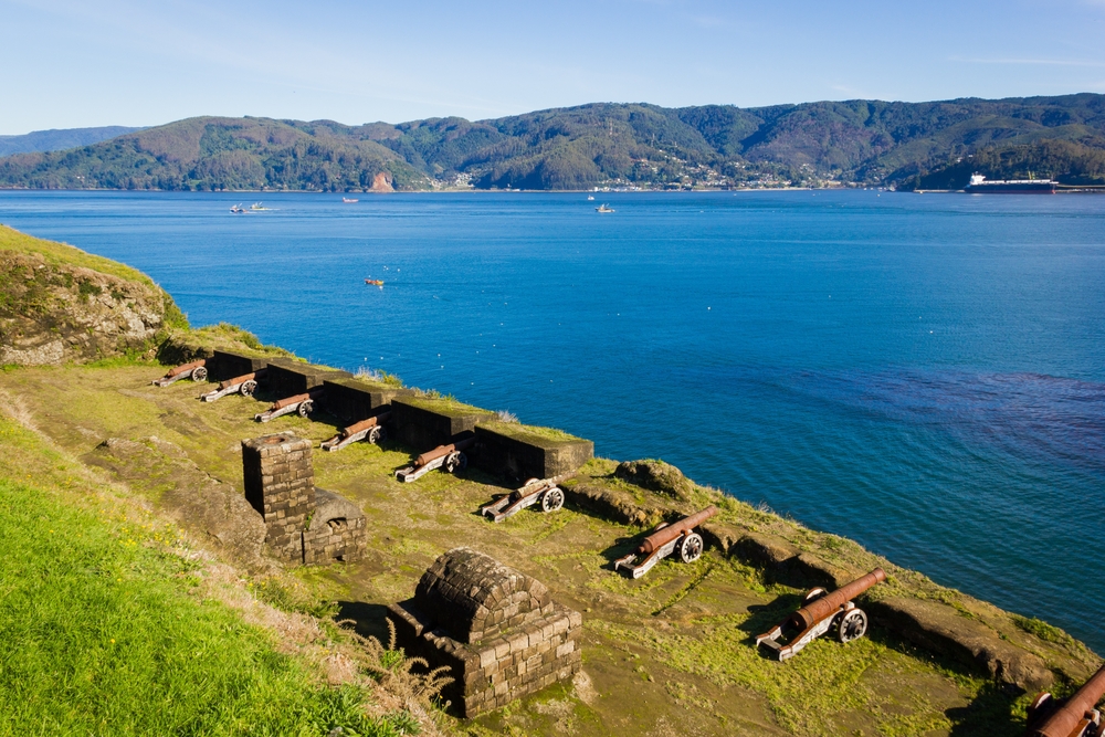 Rio Valdivia Sur Chile