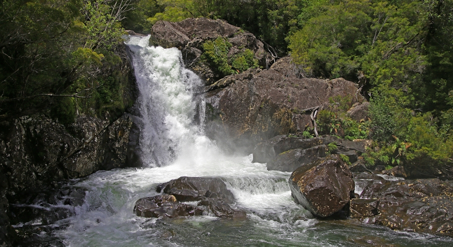 Cascada en parque nacional Alerce Andino