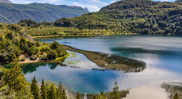 Parque Nacional sendero Alerce Andino