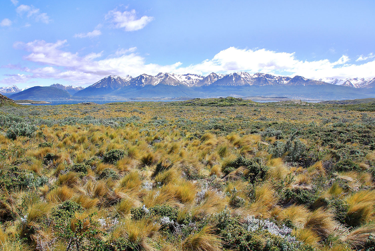 Paisaje de isla Navarino