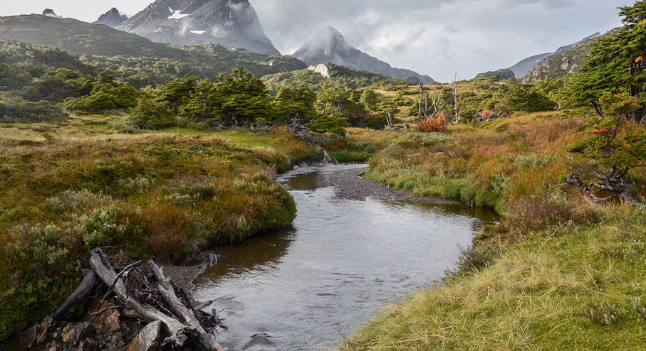 Circuito Dientes de Navarino y Lago Windhond (8 días) Río Róbalo