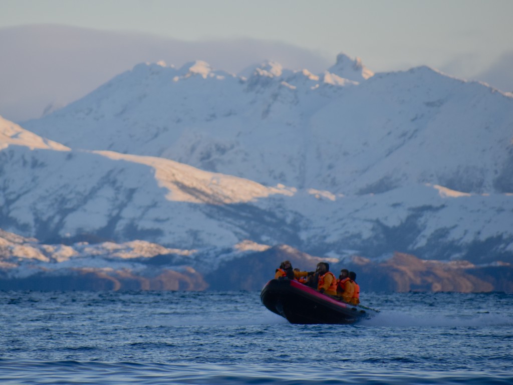 Turistas Nomades en Bote Zodiac