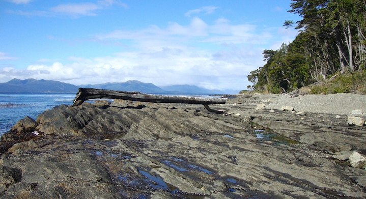 Beach Strait of Magellan