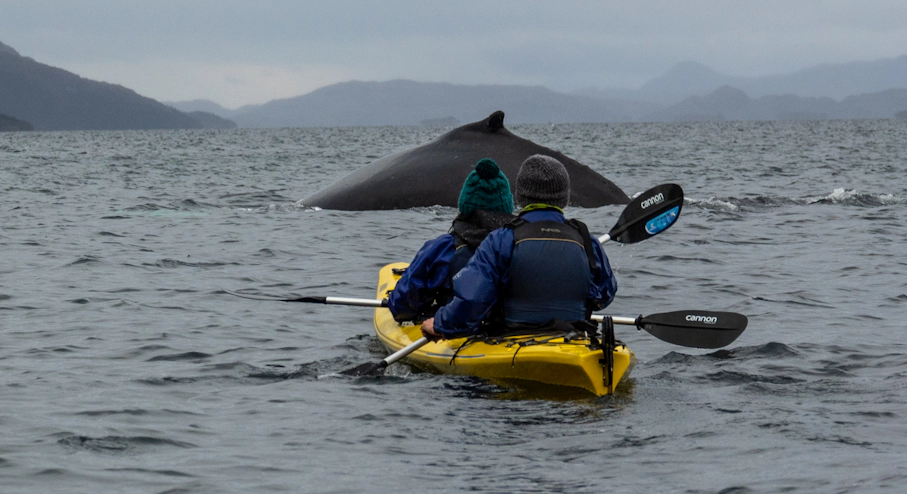Foto Navegación en Yate Francisco Coloane (3 días) en Punta Arenas