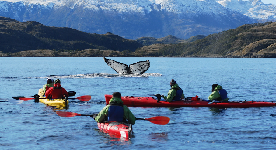 Navegación en Yate Francisco Coloane (3 días)