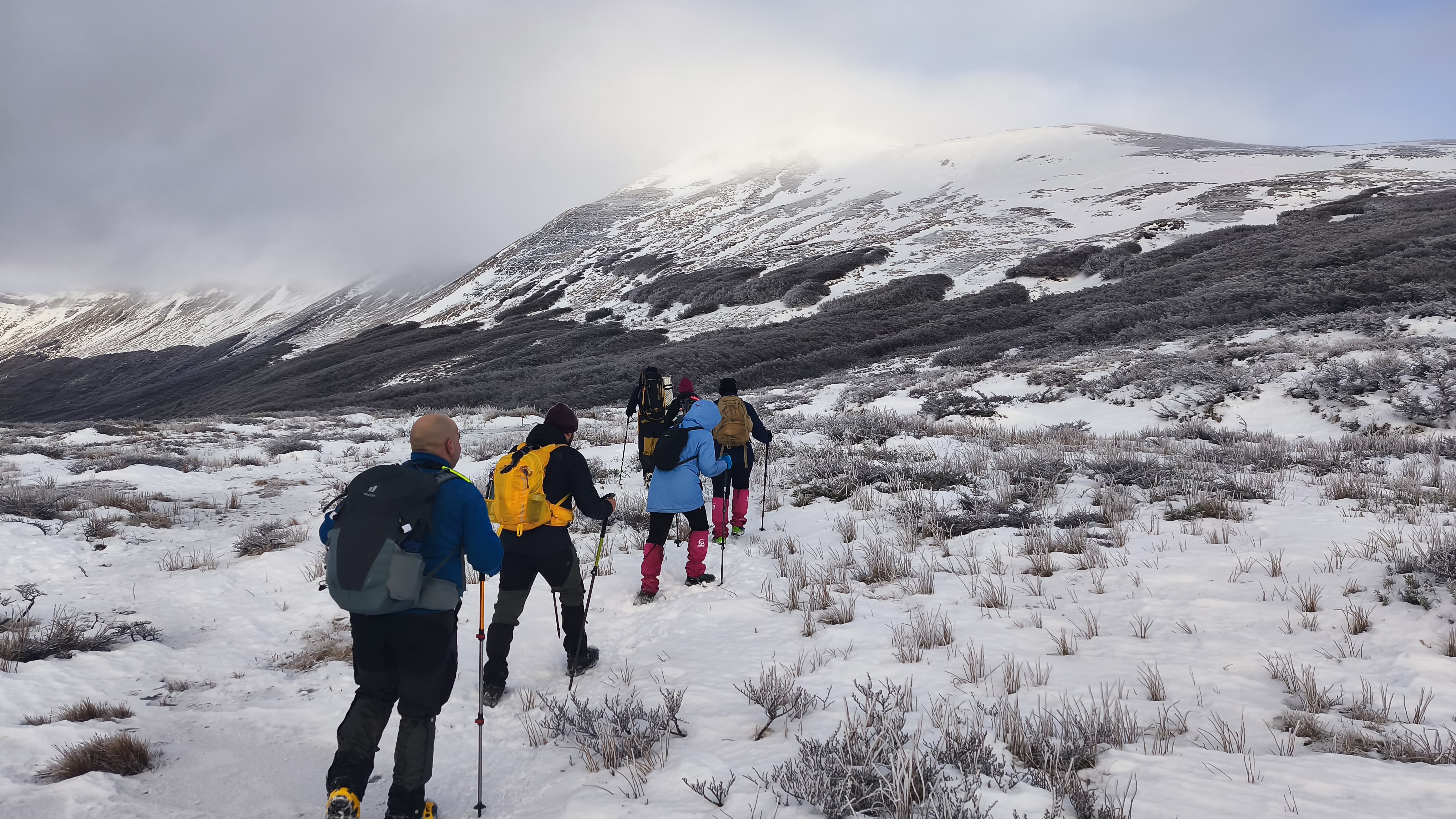 Personas haciendo trekking hacia el Monte Tarn