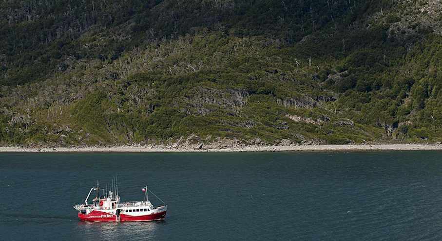 Foto Avistamiento de Ballenas (2 noches) en Punta Arenas Motonave Forrest