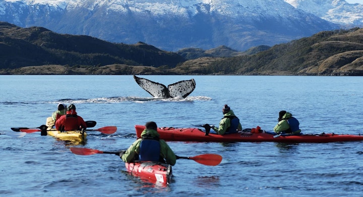 Kayak con Ballenas