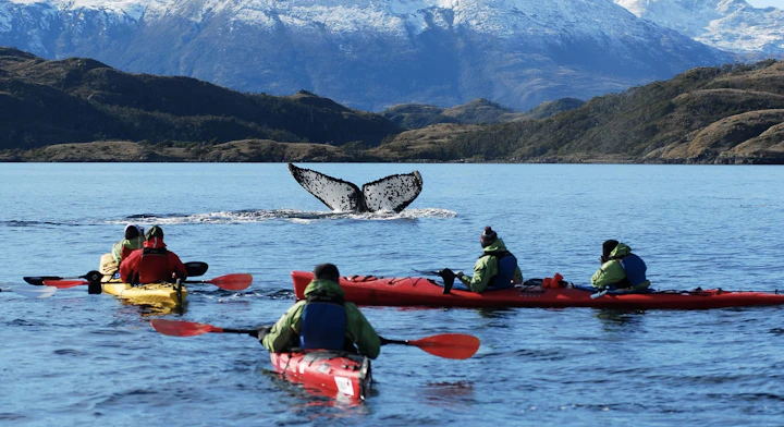 Kayak con Ballenas