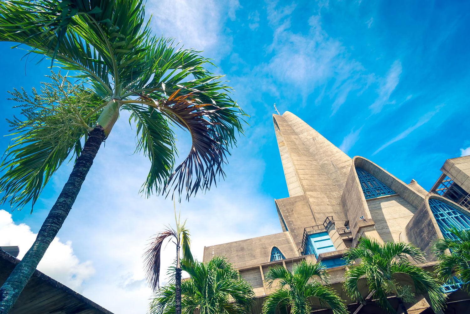 Truck Safaria Punta Cana