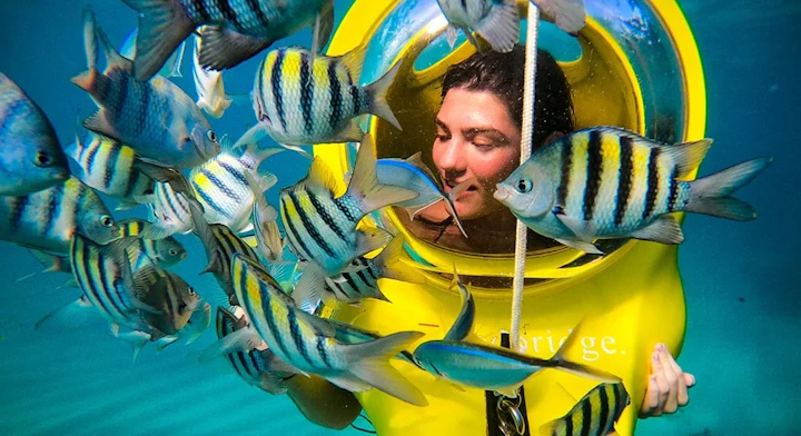 Imagen Scooba Doo en Punta Cana